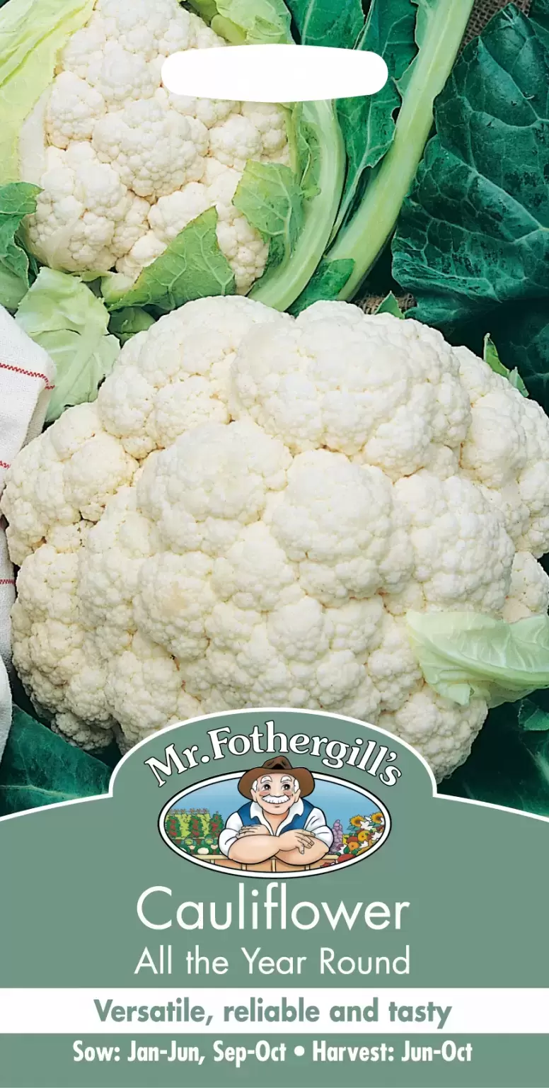 Cauliflower All The Year Round Cowell S Garden Centre Woolsington   Cauliflower All The Year Round 776x1536 61f2e7958766f Src.webp