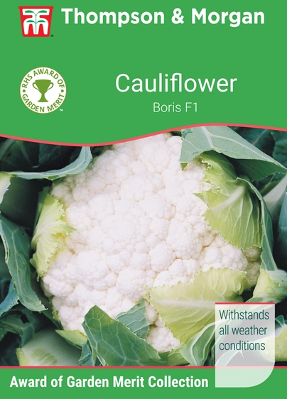 Cauliflower Boris F1 - image 1