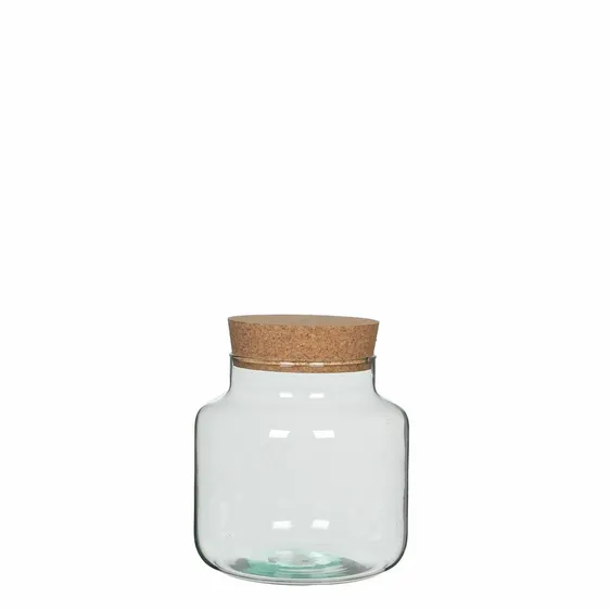 Chela Terrarium Jar - Small - image 1
