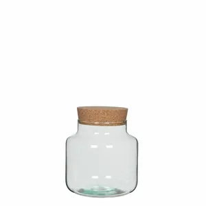 Chela Terrarium Jar - Small