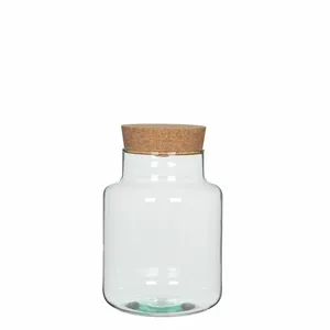 Chela Terrarium Jar - Medium - image 1