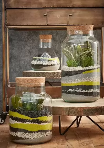 Chela Terrarium Jar - Small - image 2