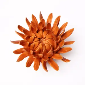 Chrysanthemum Orange Flower Wall Art