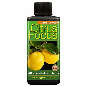 Citrus Focus Plant Food
