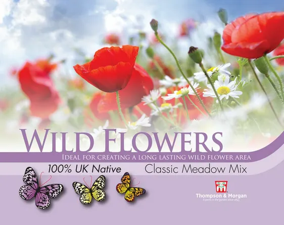Classic Meadow Wildflower Mix - image 1