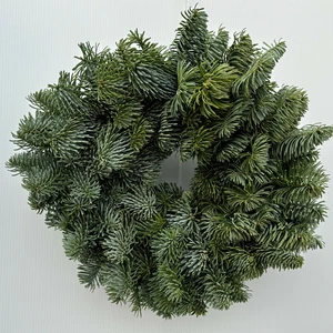 Classic Plain Foliage Wreath - 10"