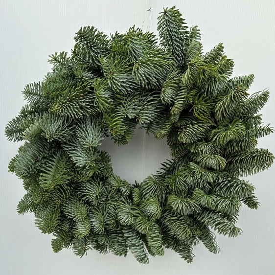 Classic Plain Foliage Wreath - 12"