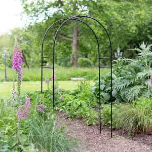 Classic Round Arch