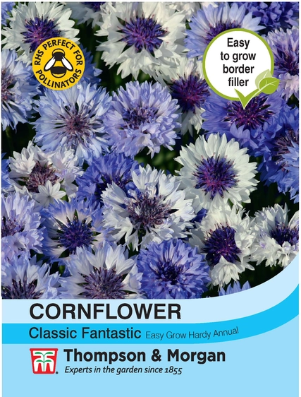 Cornflower Classic Fantastic - image 1