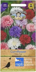 Cornflower Polka Dot - image 1