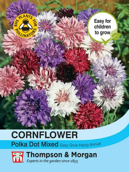 Cornflower Polka Dot Mixed - image 1