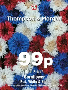 Cornflower Red, White & Blue - image 1