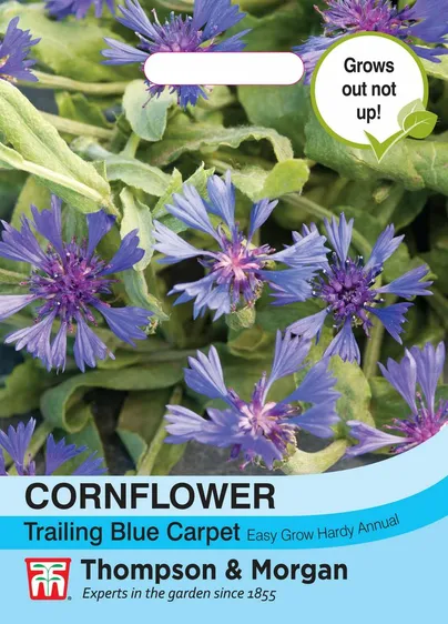 Cornflower Trailing Blue Carpet - image 1