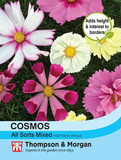 Cosmos All Sorts Mixed - image 1