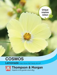 Cosmos Lemonade - image 1