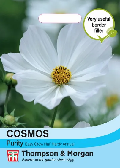 Cosmos Purity - image 1