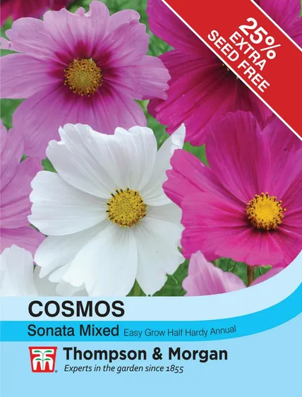 Cosmos Sonata Mixed - image 1