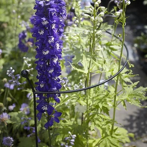 Cottage Garden Plant Support Arc - Small - image 1