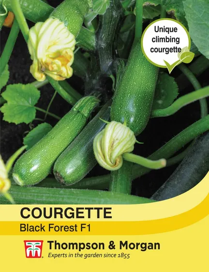 Courgette Black Forest F1 - image 1
