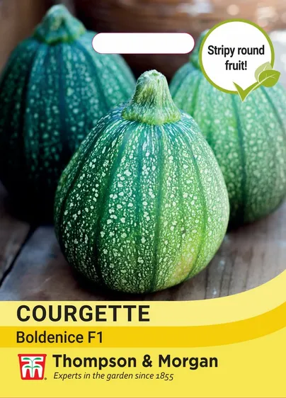 Courgette Boldenice F1 - image 1