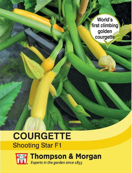 Courgette Shooting Star - image 1