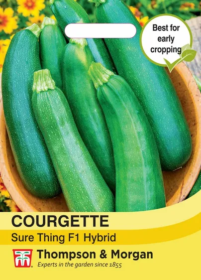 Courgette Sure Thing - image 1