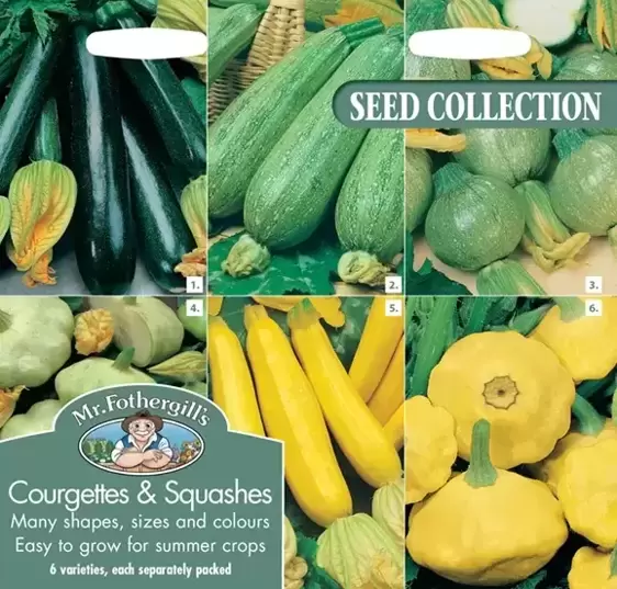Courgettes & Summer Squashes Collection - image 1