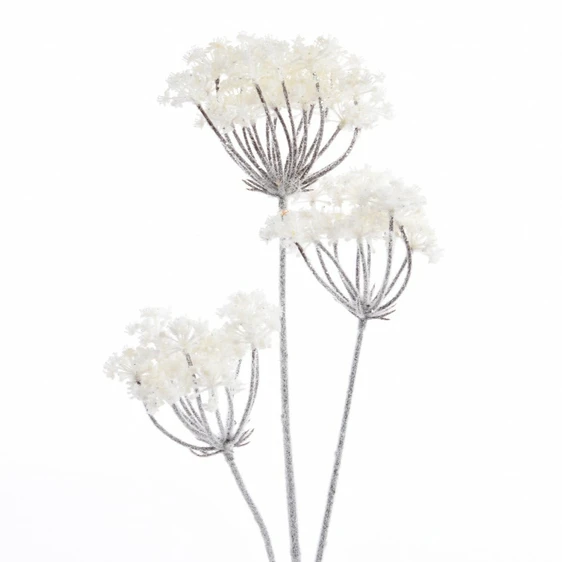 Cow Parsley Foliage Spray - image 1