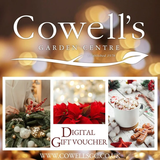 Cowell's e-Gift Voucher - Christmas Design