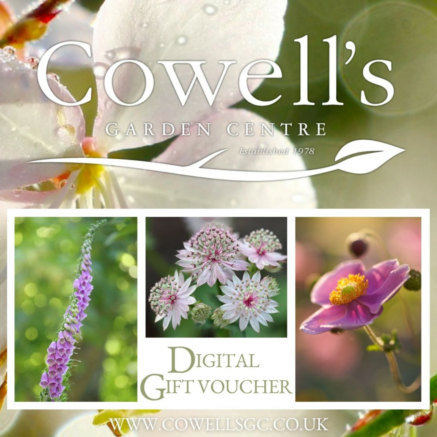 Garden store centre vouchers