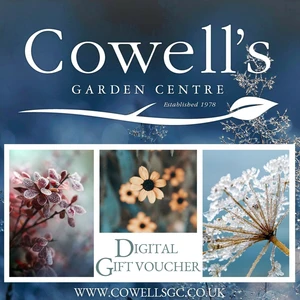 Cowell's e-Gift Voucher - Winter Design