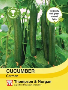 Cucumber Carmen - image 1