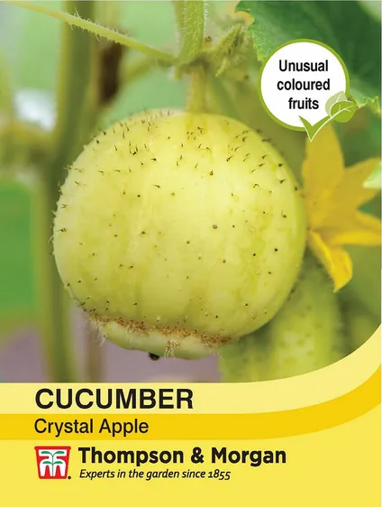Cucumber Crystal Apple - image 1
