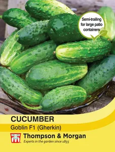 Cucumber (Gherkin) Goblin F1 - image 1