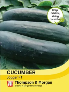 Cucumber Jogger F1 - image 1