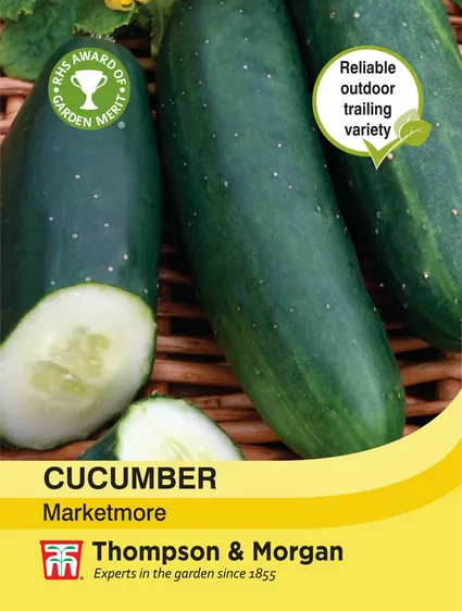 Cucumber Marketmore - image 1