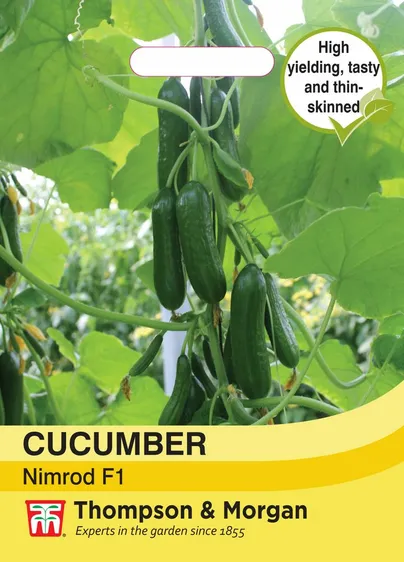 Cucumber Nimrod F1 - image 1