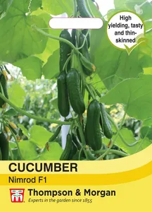 Cucumber Nimrod F1 - image 1