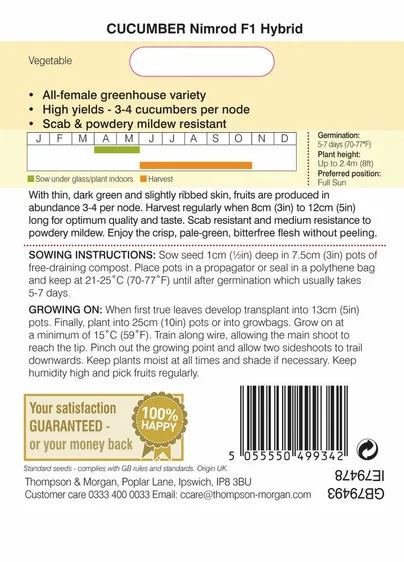 Cucumber Nimrod F1 - image 2