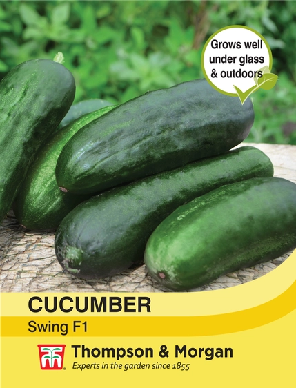 Cucumber Swing F1 - image 1
