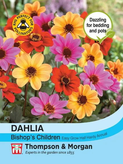 Dahlia Bishops Children - image 1