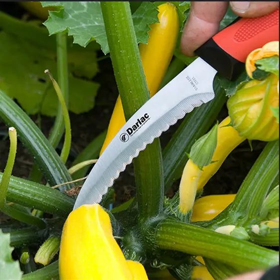 Darlac Asparagus Knife - image 1