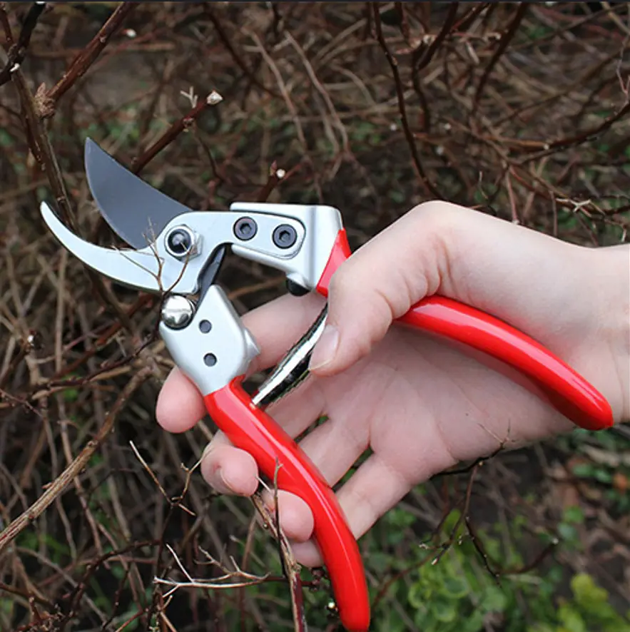 Darlac Expert Bypass Pruner - Medium - Cowell's Garden Centre | Woolsington