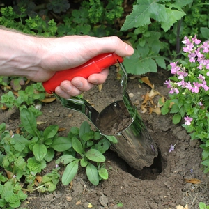 Darlac Hand Bulb Planter - image 1