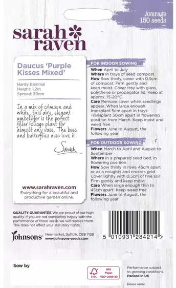 Daucus Purple Kisses Mixed - image 2