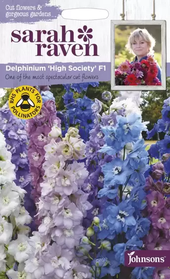 Delphinium High Society F1 - image 1