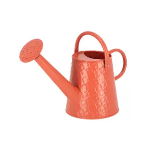 Desert Dream Watering Can - Small - image 2