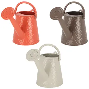 Desert Dream Watering Can - Small