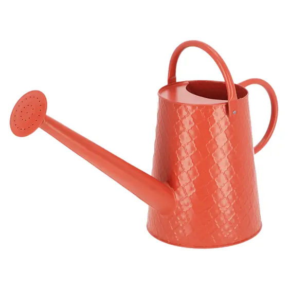 Desert Dream Watering Can - Large - image 2