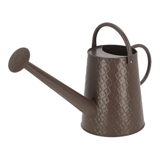 Desert Dream Watering Can - Large - image 3